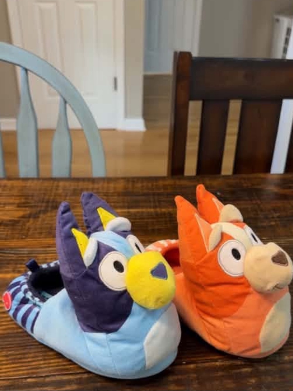 Bluey house shoes